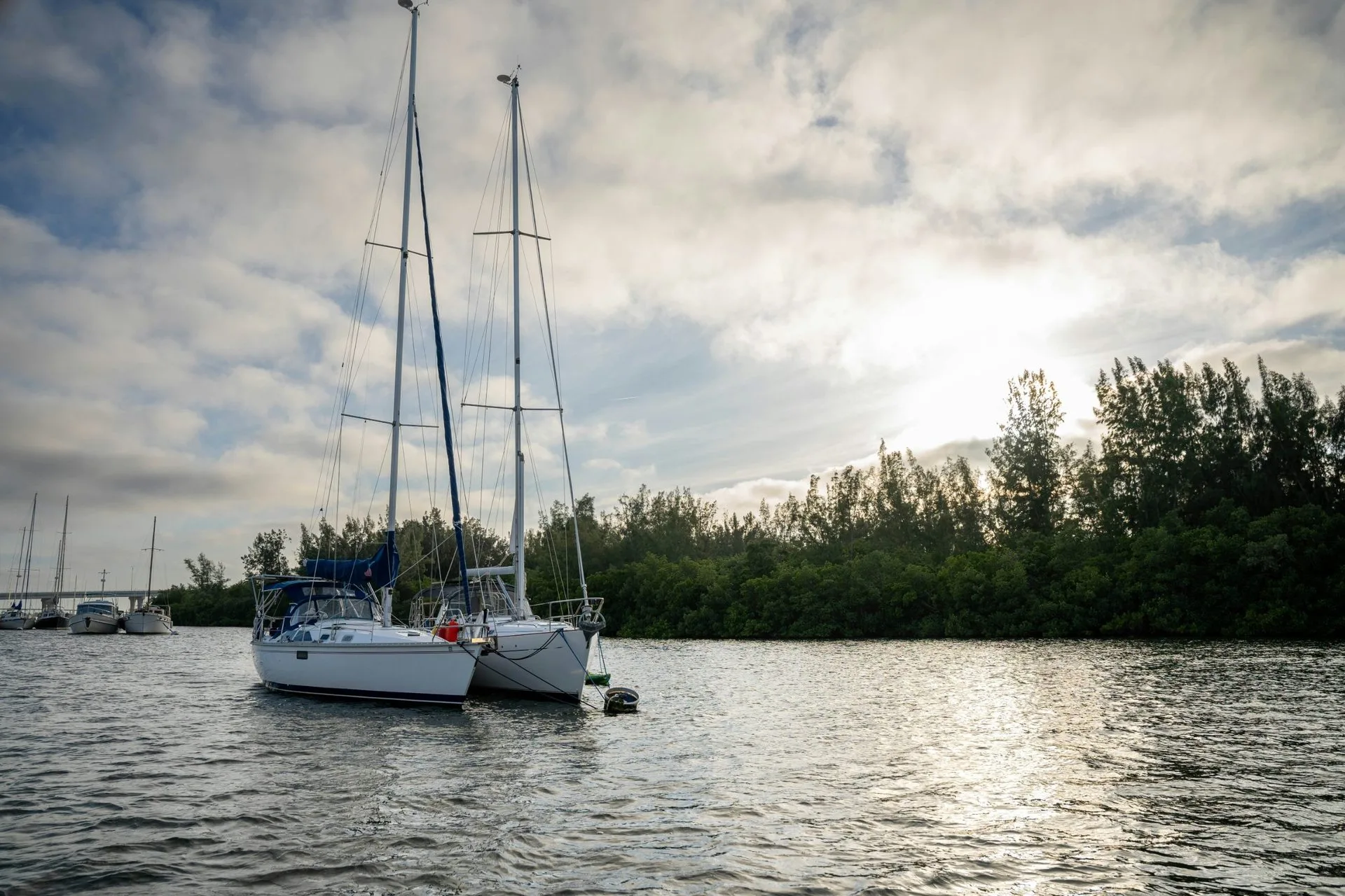 Sailboats on the Indian River in Vero Beach